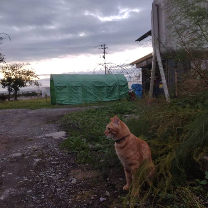 17bb555d c738 41d3 b00e 276983486530 1666044027946