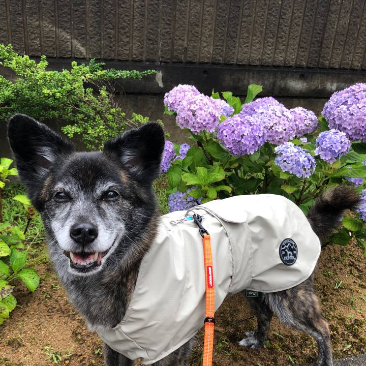 17bb5a00 953e 474f b50b fafdc56d9ad9 1686056694207