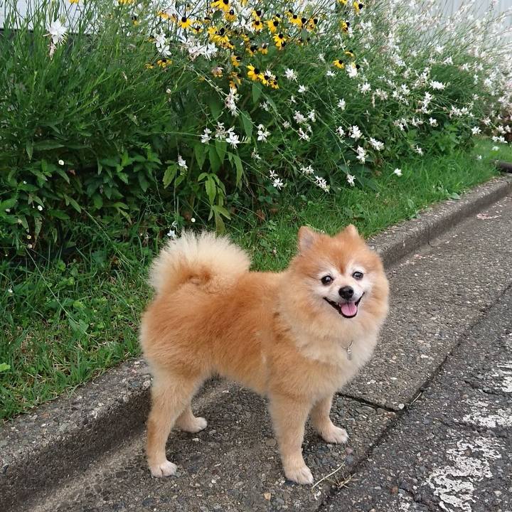 17bba212 9ba6 4447 8e7e b33cfe0c4527 1741471806455