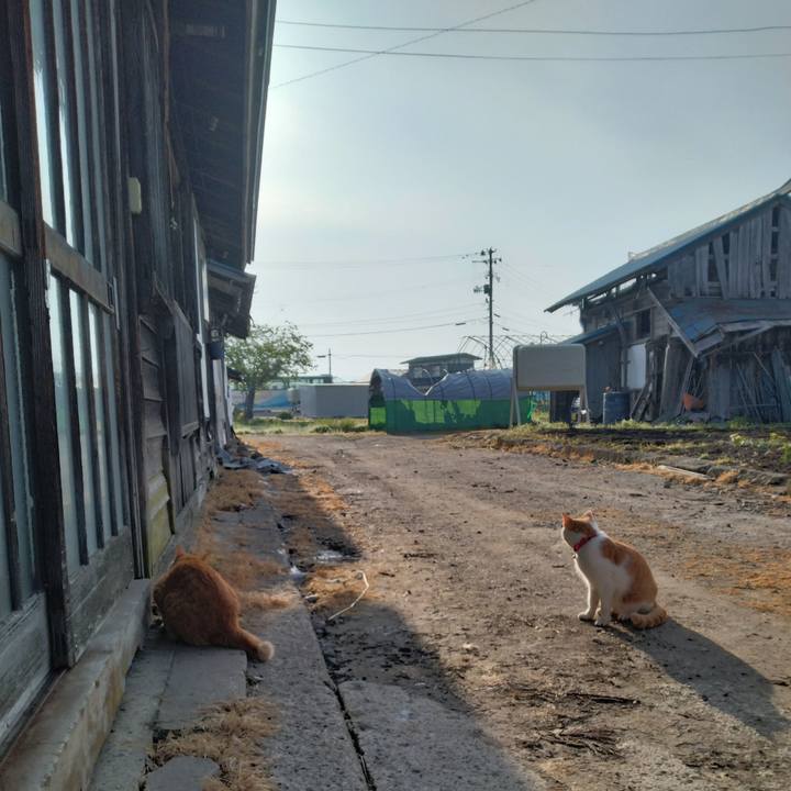 17bbd0d1 58a0 40bf b1ef 7ab9d58e9dae 1747175077838