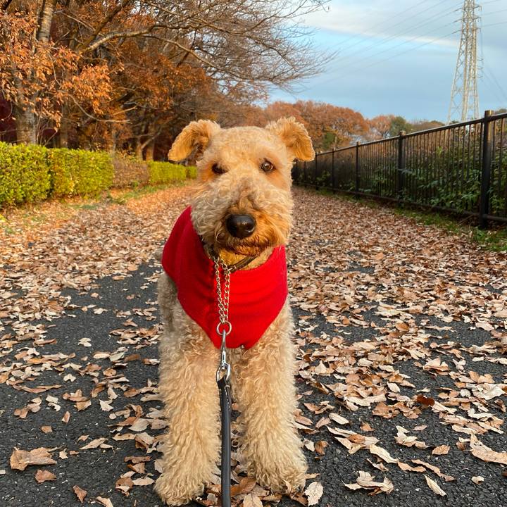 17bbd435 1364 41a9 821f fb609a06fc0f 1639266463503