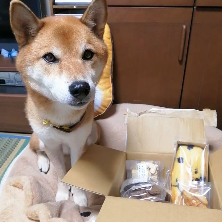 17bbe16f fbba 4eb7 8a62 abef32bb77e3 1601514998883