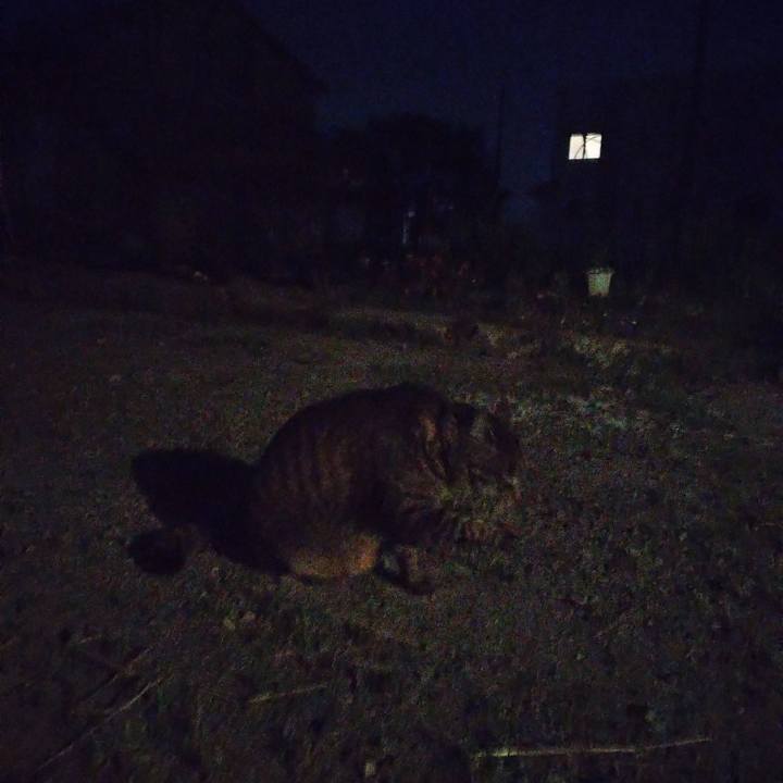 17bbeee0 c43f 4d3c a0db f2006ac68da9 1685013828266