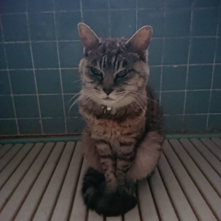 17bc41ce e0b0 47b3 81dd 70b79d476b19 1570759125879