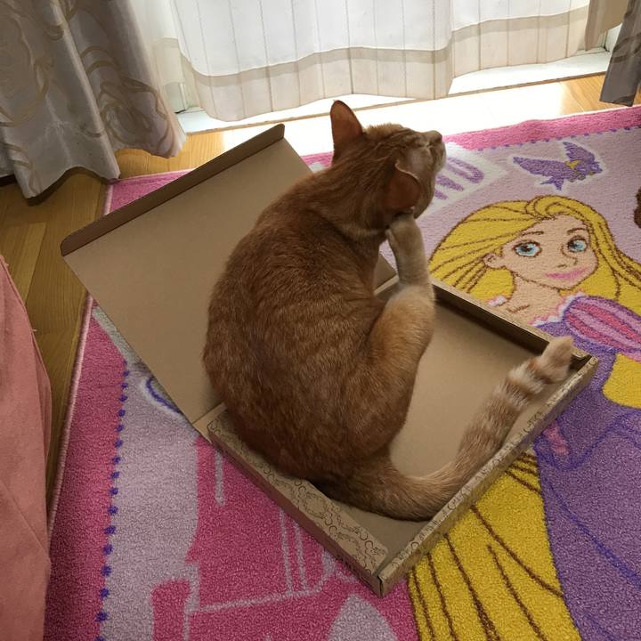 17bc43c4 3507 48a9 add9 7685d5adbc39 1517550322108