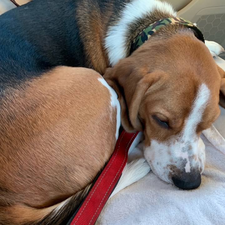 17bc4ada 70ee 46bc 9bec 0bb65b37071e 1546556821506