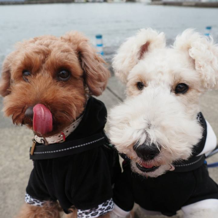 17bc4b62 b7bb 47c3 b360 c7fa30b196b1 1515317162363