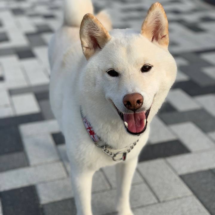 17bcf2e3 ddfa 40ca b14f 47161c1f6383 1566689477301