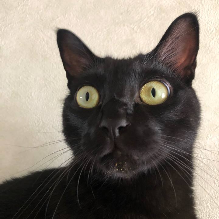 17bd6d1c bced 40f7 b7fc ed449609d3ee 1568512482160