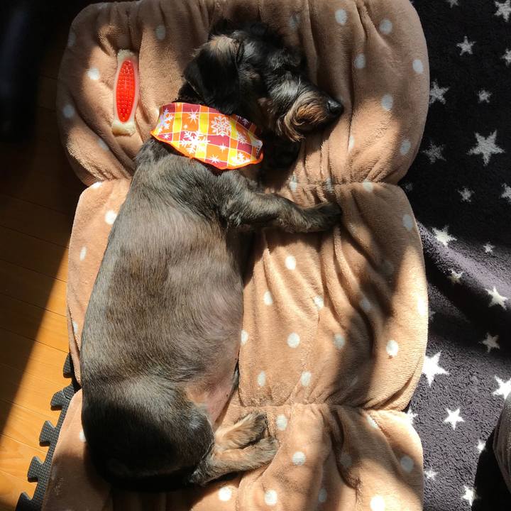 17bd8949 6075 481e 84b4 c7e806a8680e 1511056850228