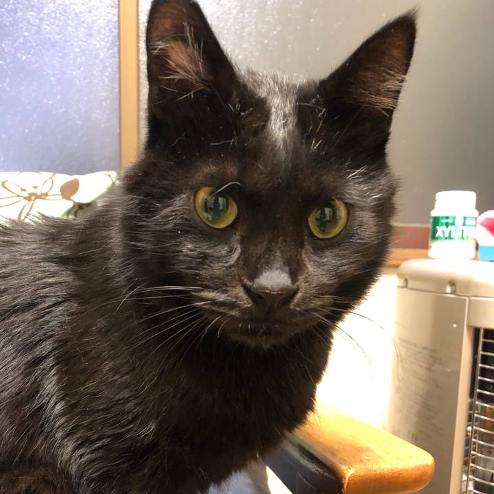 17bd8d9d 6223 45d2 a969 a37060b46041 1574852492928