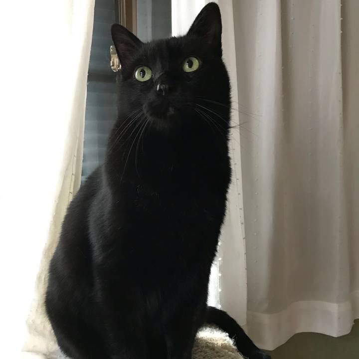 17bd9eea 566e 4dad adb1 19fad9bdb7f8 1516930411484