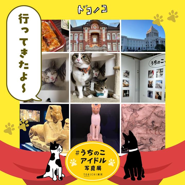 17bdb0b1 9bd6 492f abac 983a02e3e8e7 1762184522462