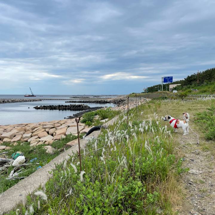 17bddd29 f21b 42d3 a572 564afda609a0 1656027421874