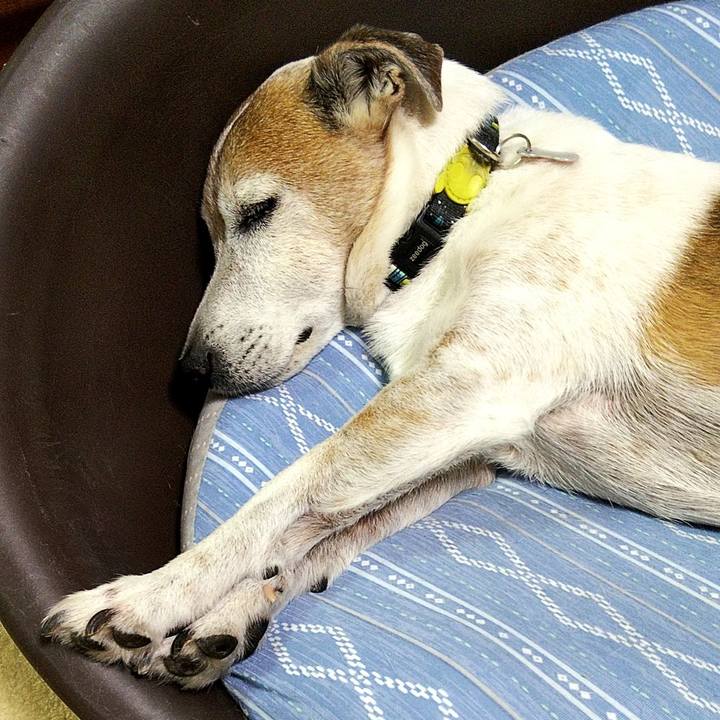 17bdea69 55d4 4443 a2be b58c62b52c11 1596889941805