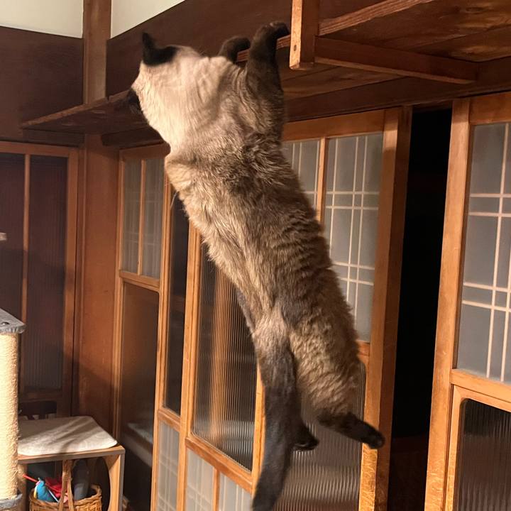 17bdecd4 515d 4bb6 85ce f7436fc363c9 1661170888351