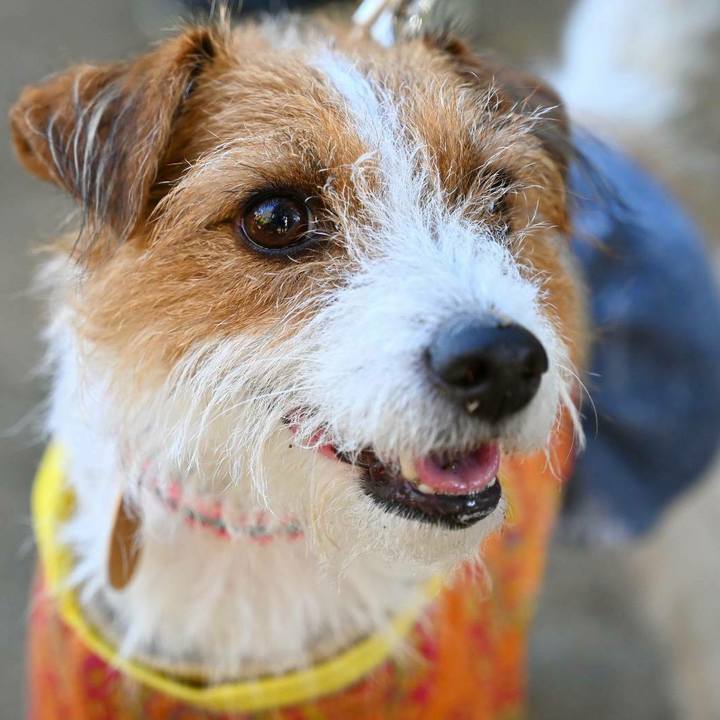 17bdef56 d6ef 4c47 801c 6d18591eb177 1607033057583