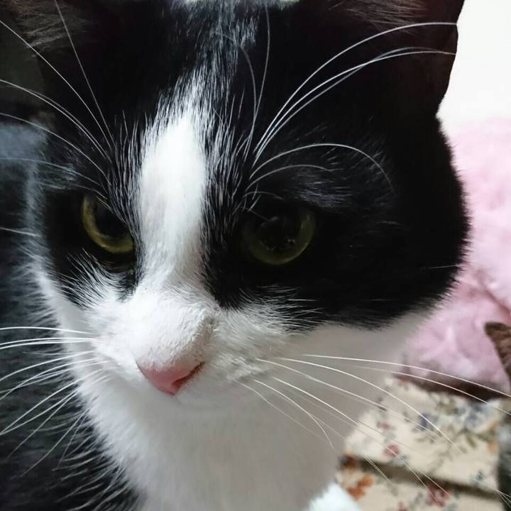 17be6176 8cc6 4a04 ae9c 33e9c540b2b0 1562397738840