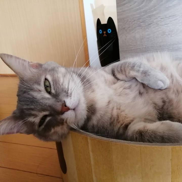 17be67c2 5bd3 45d2 90c5 80aadd48ccdc 1583554494671