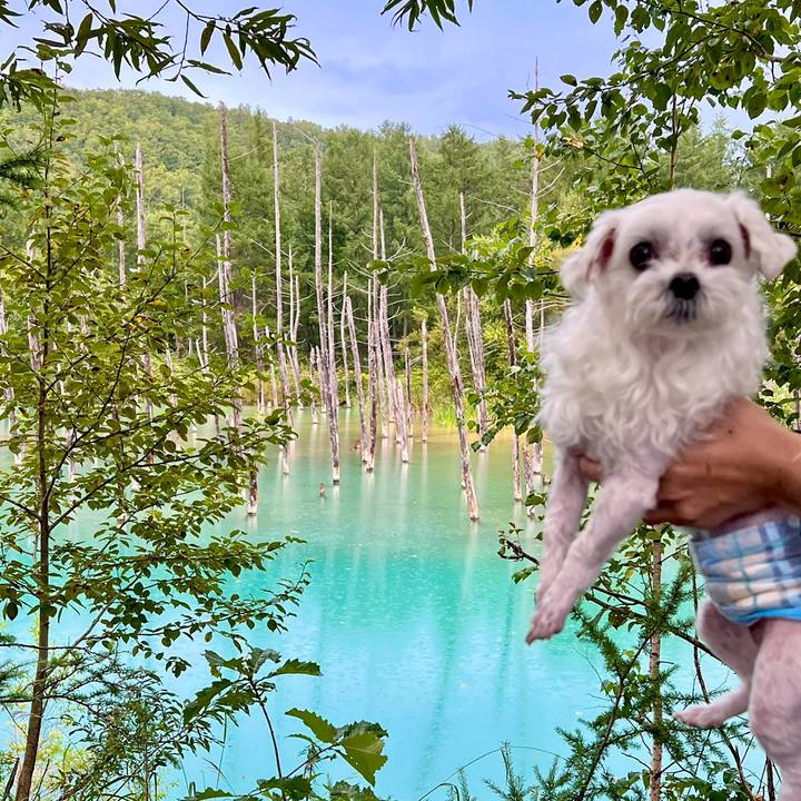 17be72dc 5b95 40a9 8c9d dec82375ac2d 1697887009032