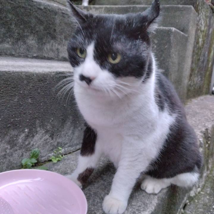 17bebbdb 9dce 4eff 8e15 66febf734f03 1699084610259