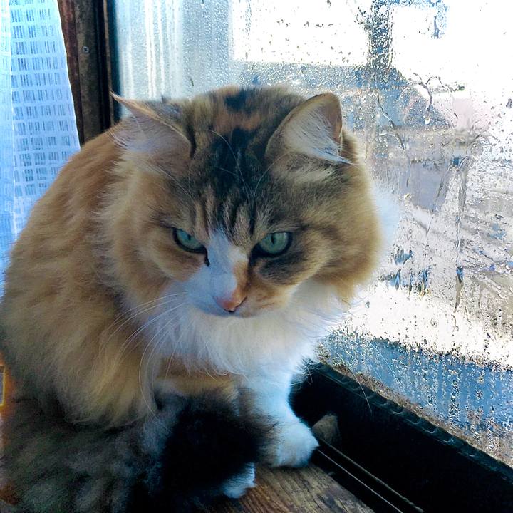 17beda63 305c 4250 b35a a5344e5e5405 1615159783024