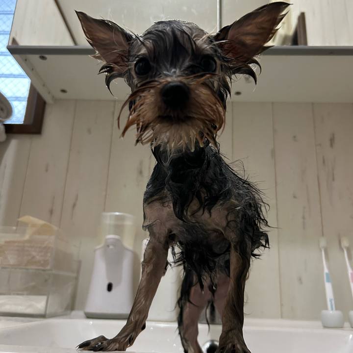 17bee32c b25b 4ce4 a03c 4dbc01955777 1721533735692