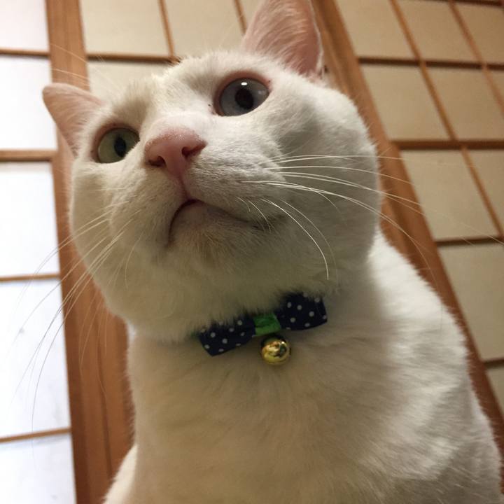 17bee3ce 4b97 4fd9 a573 ceec05a0672e 1509775560398