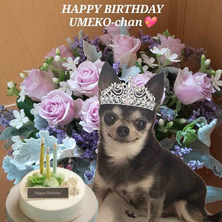 17beeb4f 4e68 4947 a430 ee24192edf38 1632279169781