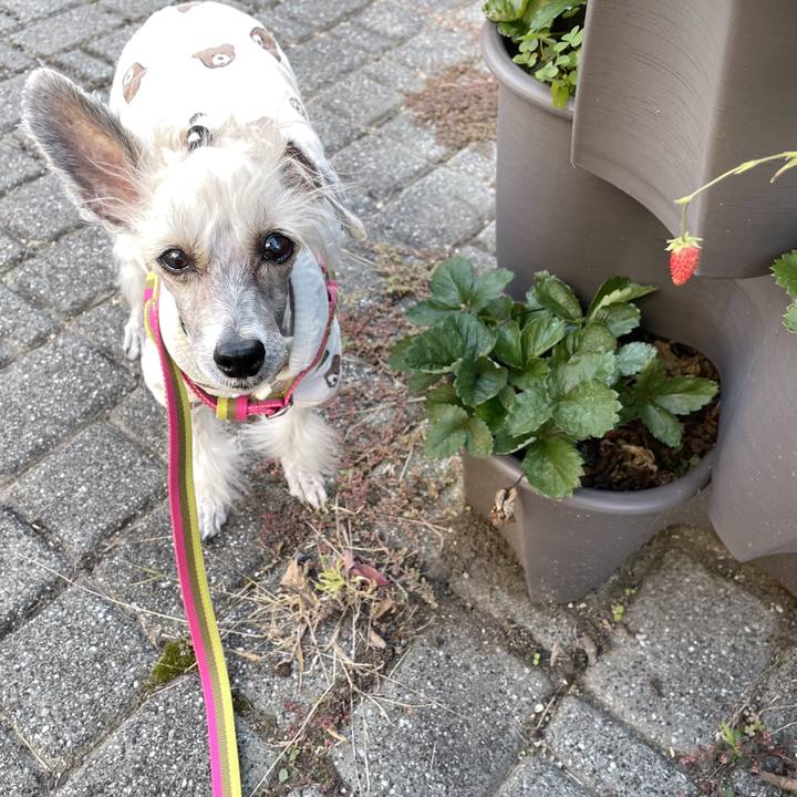 17befa20 c493 4f48 9376 521f1ddefa96 1762484192421