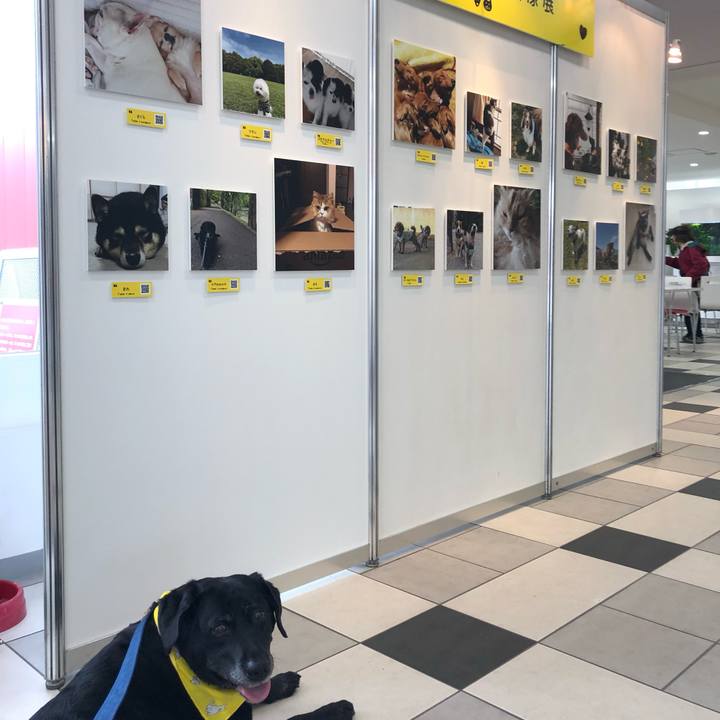 17bf0eea 8d10 4067 add8 ee88d4980f6b 1560048273712