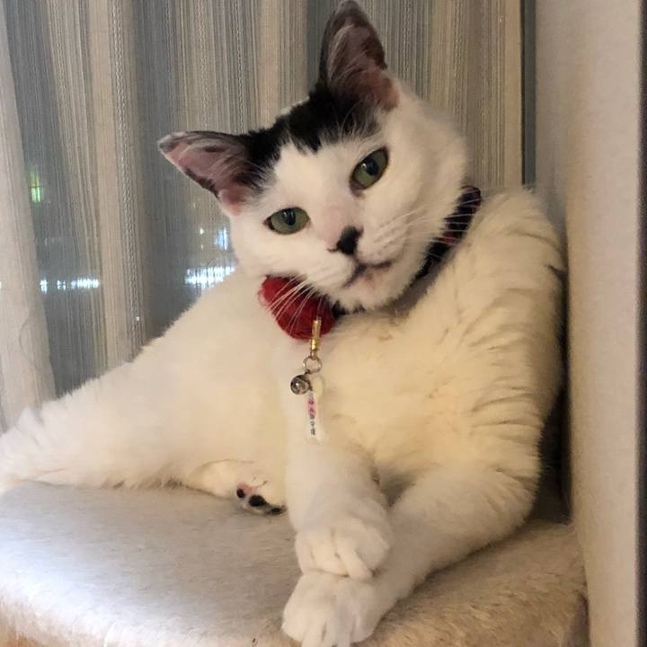 17bf2f15 adb5 4b9c ba9e dfc8bc621cf1 1527687743698