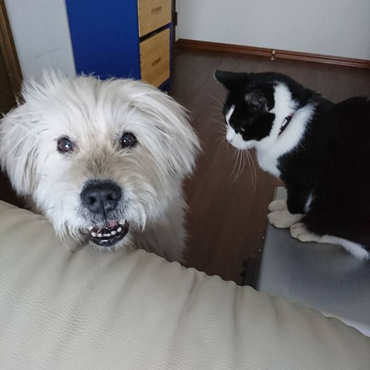 17bf3937 1711 4b23 914d 24fcdf49559d 1584344458753