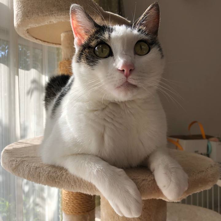 17bf89c2 e5be 42a1 b65c 03441939a5a4 1698929554536