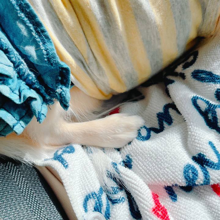 17bfbd87 2e09 42b2 9fd7 c913522f46aa 1647852385083