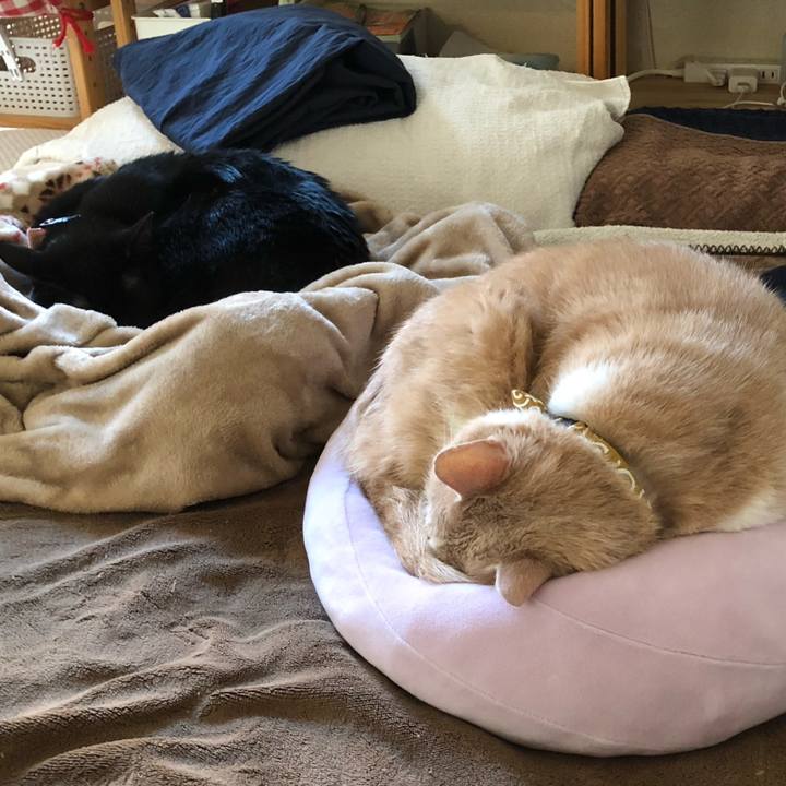 17bfe636 a759 4b48 8050 3e28ef20ba95 1581460942722