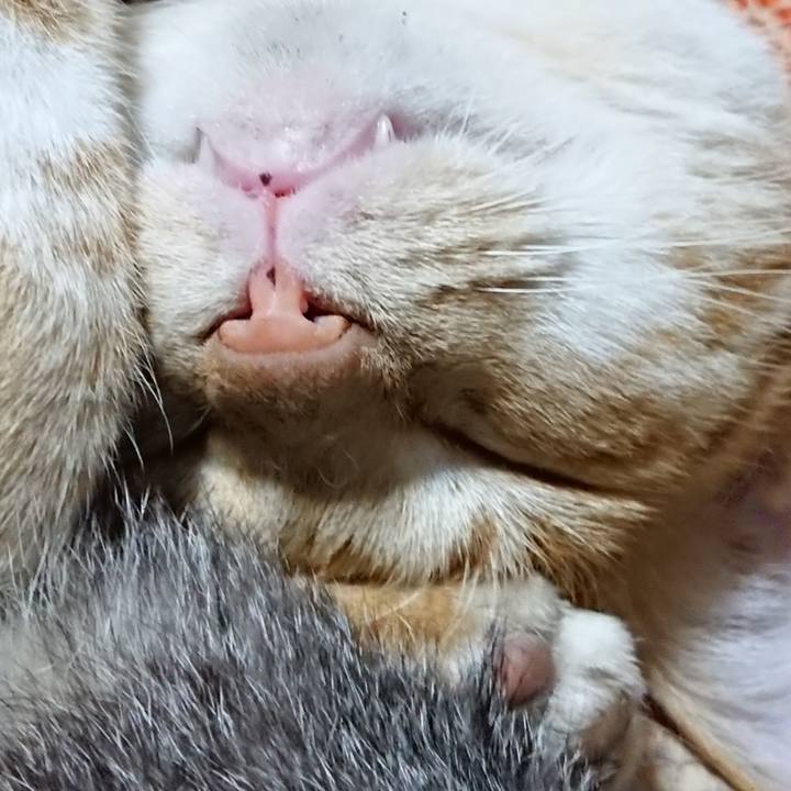 17c04dde a07d 42f2 ab70 16aacc638f05 1572872710963