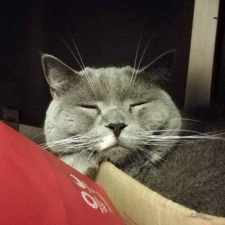 17c05445 f084 4631 841e 40aed6bda928 1601048831386