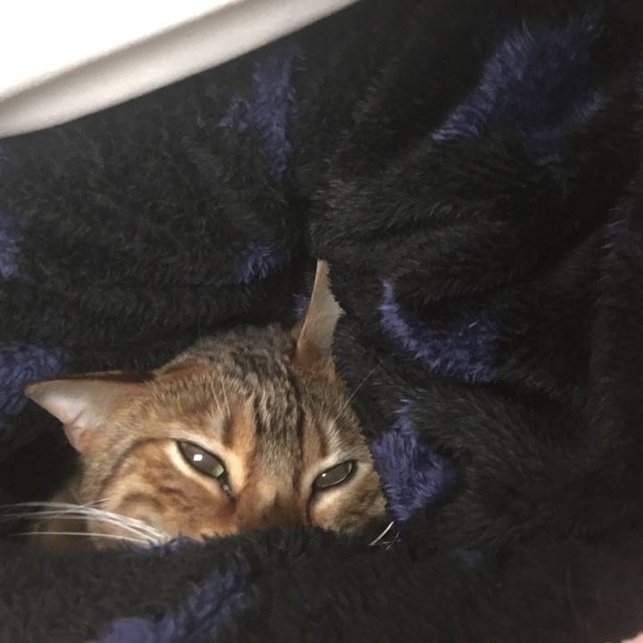 17c060b8 77c3 4989 b385 ea8371a8ddf3 1521732495178