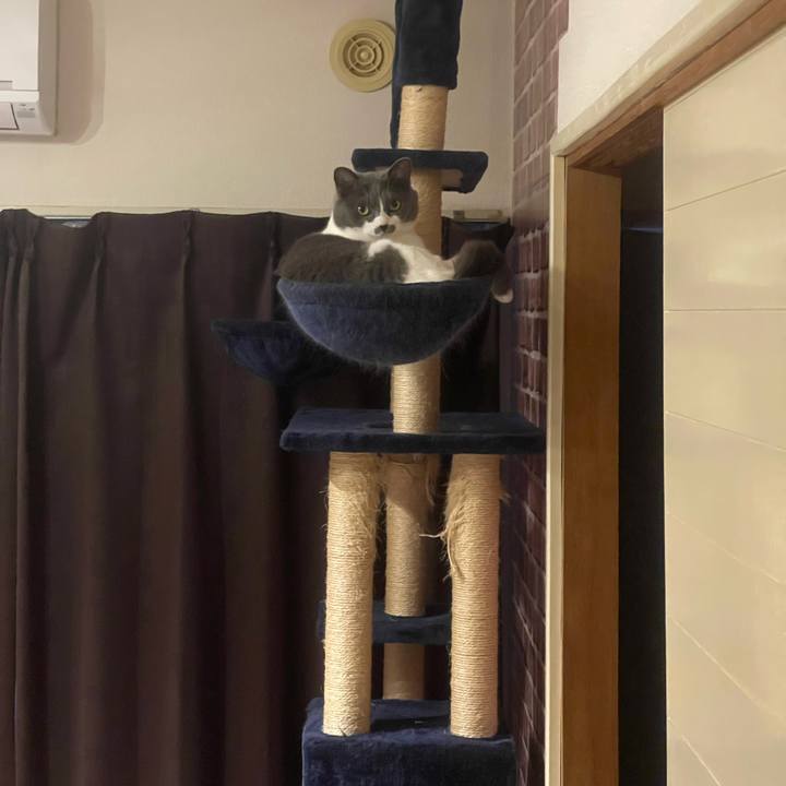 17c06460 4889 4dd4 a0df b560f10285ed 1686912112660