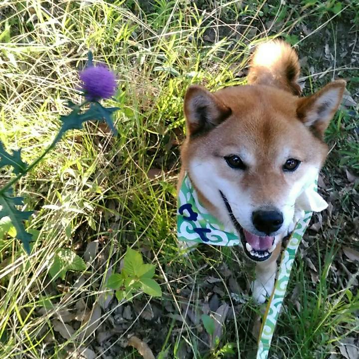 17c07c8c c715 4149 bd6a f47211b68f90 1559811145054