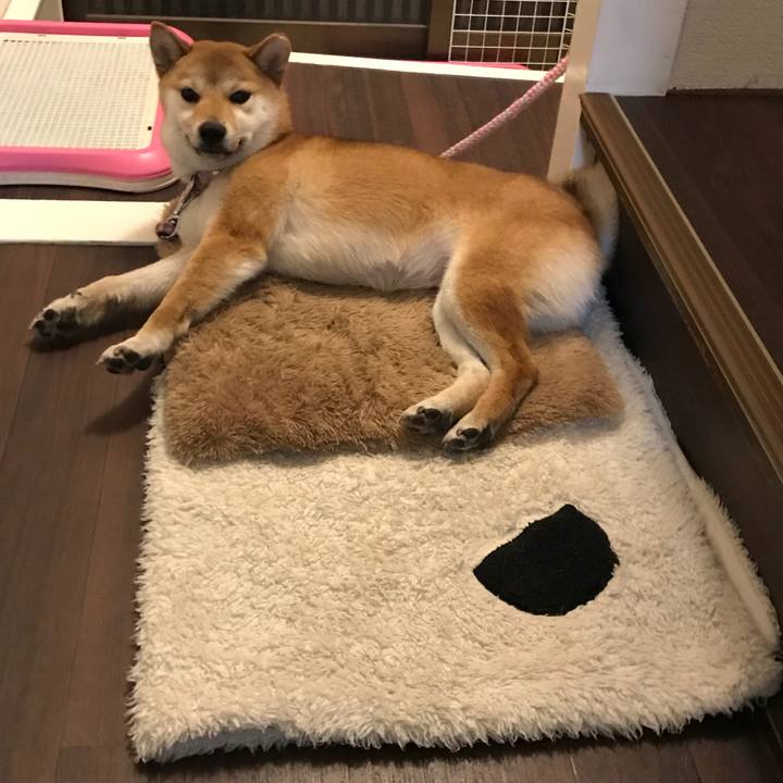 17c09673 6cb7 4b3e 99fa 71e66cc3c4fa 1522335152538