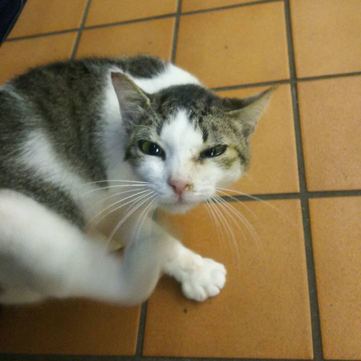 17c0bb7d e6d0 49cc 9470 c123063edf61 1540721514263