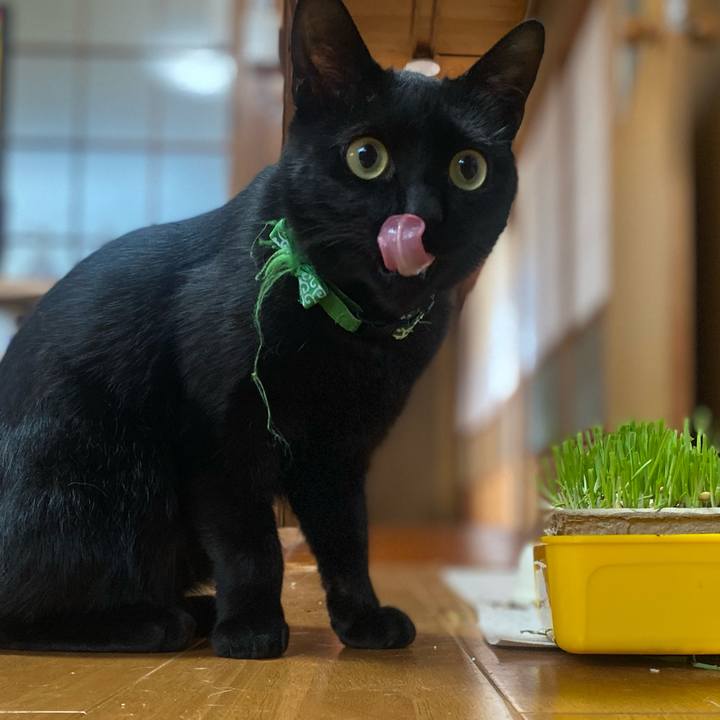 17c0cbba e603 4fad beb0 802e3eb69d07 1653181192279