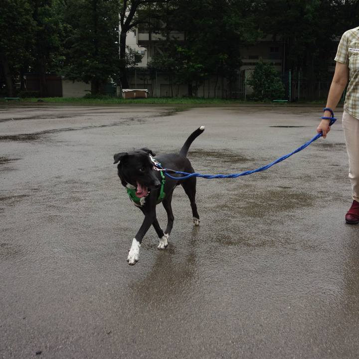 17c0ed7f 5ebb 4b40 b596 a7016cae285a 1595635726993