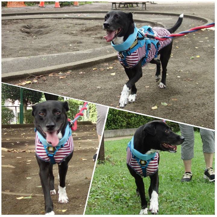 17c106cc 6b79 4628 aeb8 9e856d321048 1628466817909