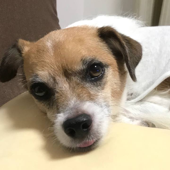 17c12fa3 7489 49fc b529 e37204d4b8a9 1536502011443