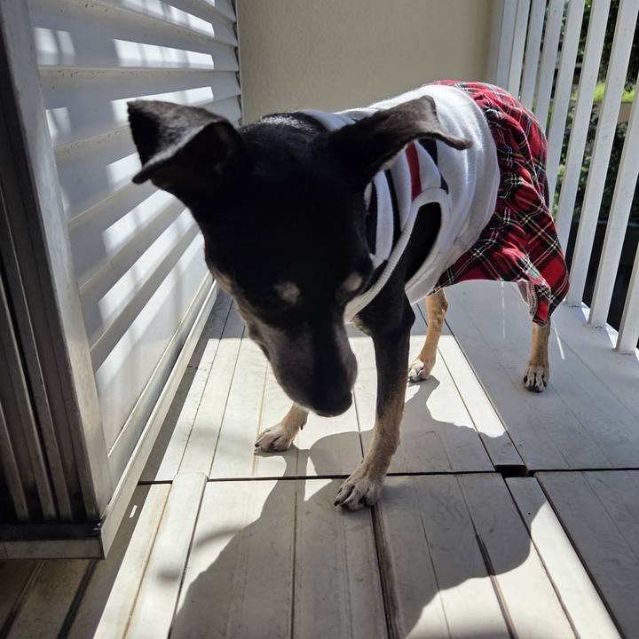 17c133d0 832e 4ad4 babd 4843ee31587a 1757123683508