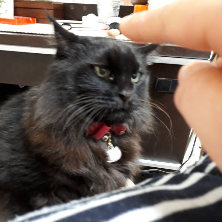 17c13800 daba 44dc 800d 8ab5ded15200 1517092171836