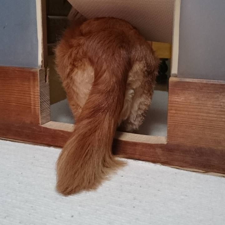 17c17f97 610e 4e74 9d28 24478dfcca45 1584816174058